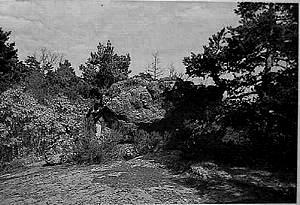 "Piedra Andadera" en Covaleda