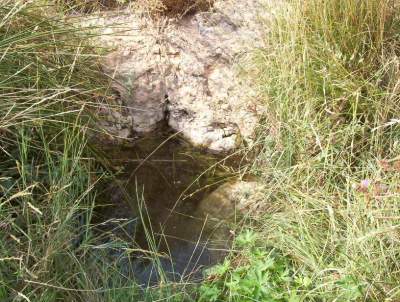 Fuente de La Sinova