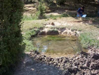 Fuentes de La Tejera