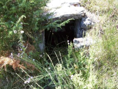 Fuente de los Camineros