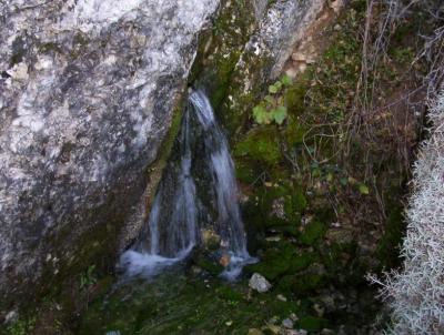 Fuente de la Hiedra