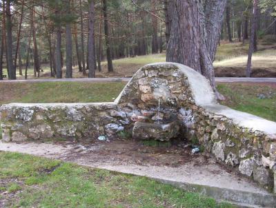 Fuentes de la Dehesa Nueva