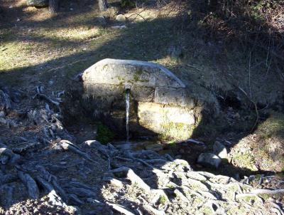 Fuente del Pico