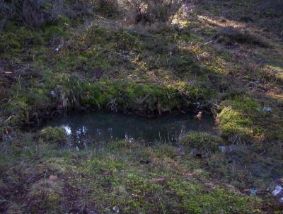 Fuente del Pozo de San Millán