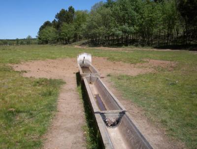 Fuente del Pastizal