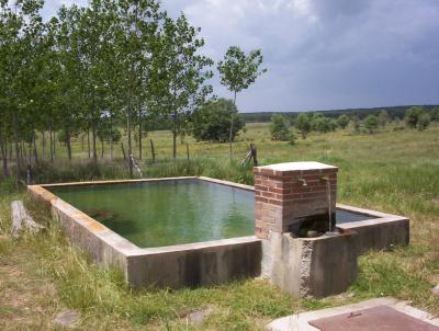 Fuente del Pastizal