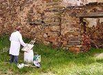 Pintar SARNAGO