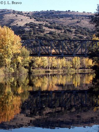 Soria