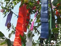 Las Móndidas de Matasejún, 2013