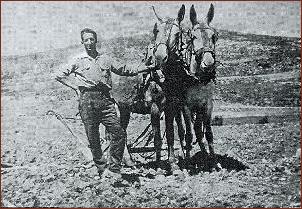 Labrando en Tarancuea