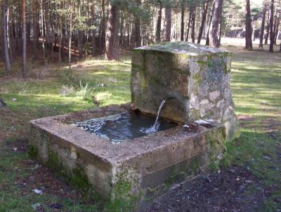 Fuente de Navacastellanos