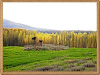 Ubicación de la Ermita de San Miguel de Las Cuevas de Soria
