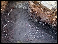 Intervención arqueológica 2015. Convento de San Francisco. Soria