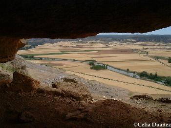 Los Campos de Soria desde el Castillo de Gormaz