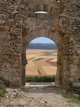 Los Campos de Soria desde el Castillo de Gormaz